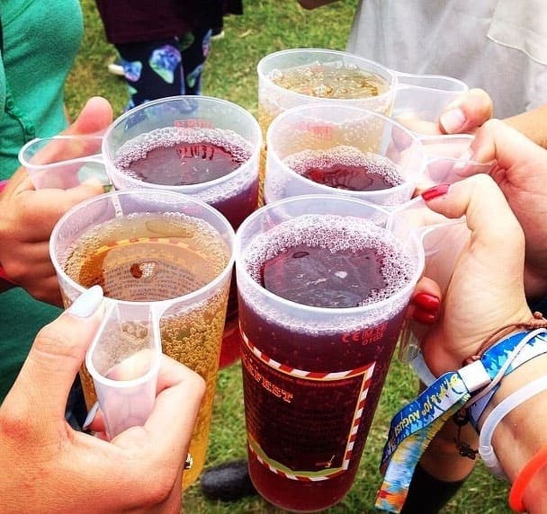 Lakefest Crowd cups